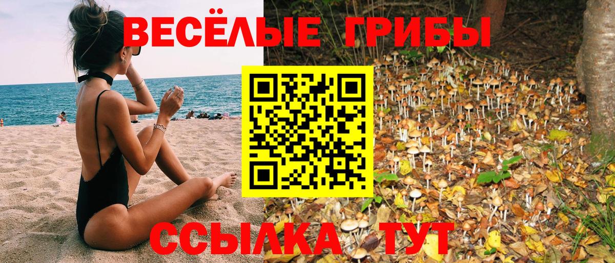 Пенза  Галлюциногенные грибы ЛСД  Вход с VPN 